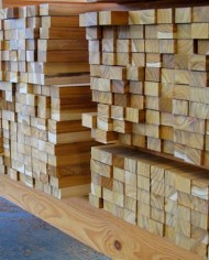 Teak_square_logs_Teak_Lumber
